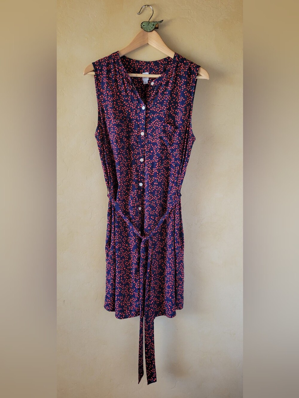 GAP Navy Dress with Red Berry Print